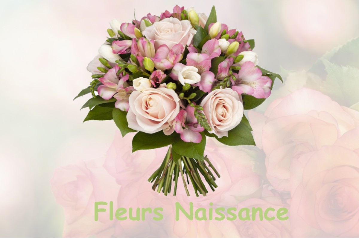 fleurs naissance VERNANTOIS