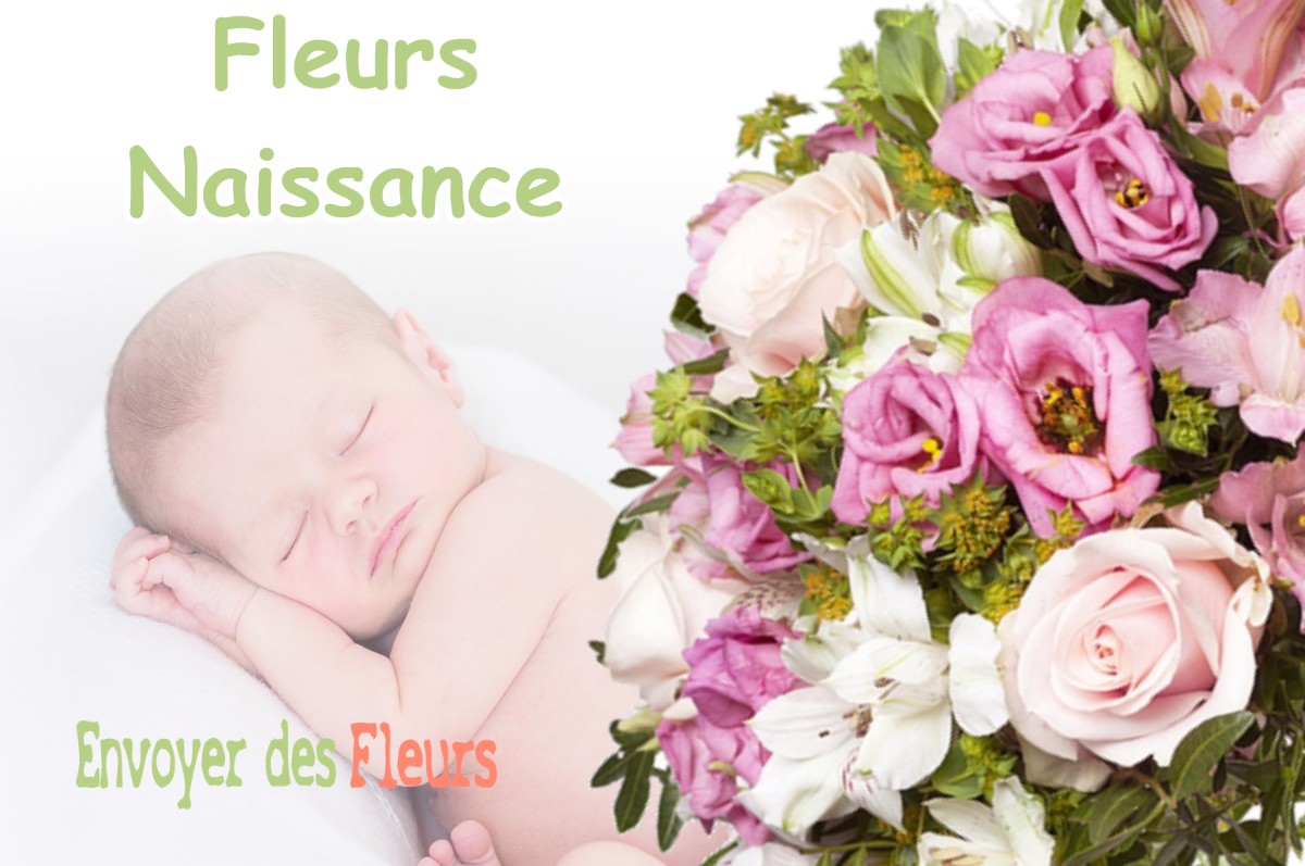 lIVRAISON FLEURS NAISSANCE à VERNANTOIS